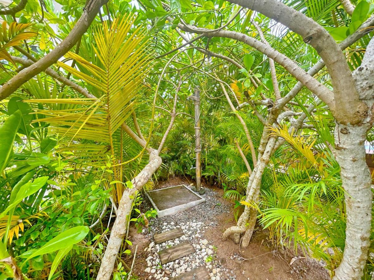 The Seaboards Apartments Seychelles 安塞罗亚莱 外观 照片